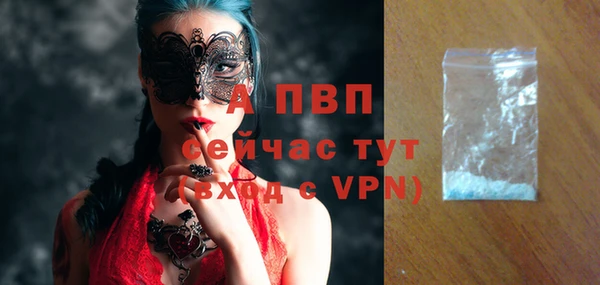 сатива Волоколамск