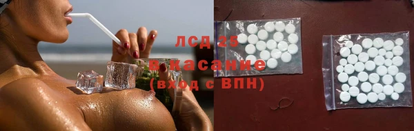 сатива Волоколамск