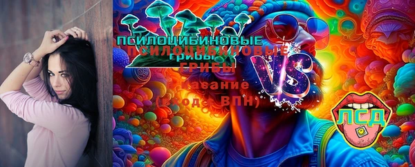 сатива Волоколамск