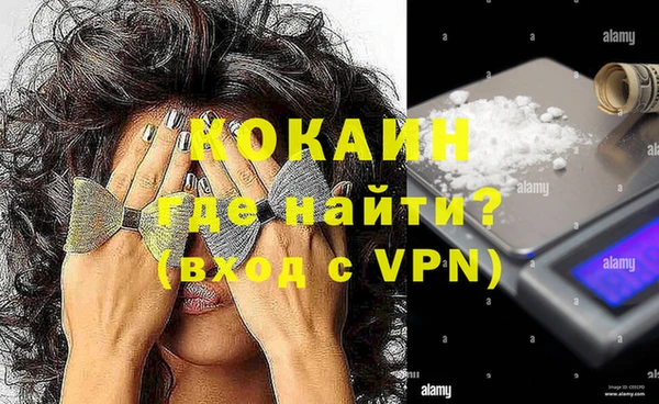 сатива Волоколамск