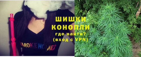 Альфа ПВП Володарск