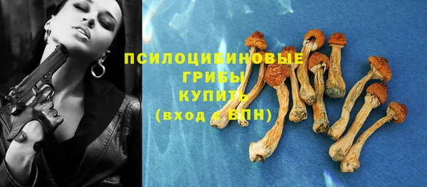 сатива Волоколамск