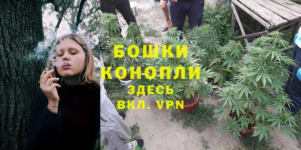Альфа ПВП Володарск