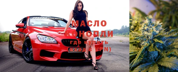 сатива Волоколамск