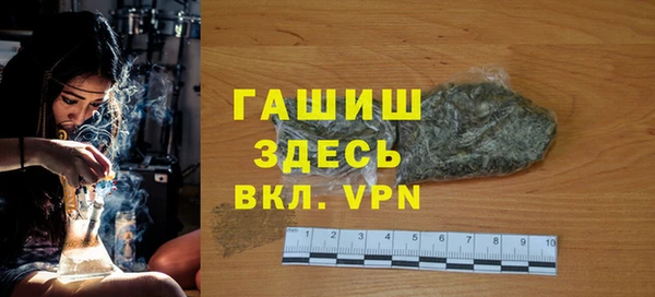 сатива Волоколамск