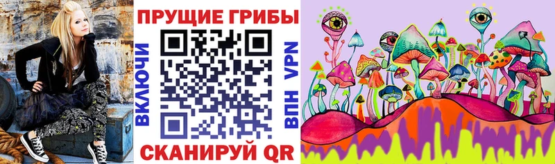Псилоцибиновые грибы Magic Shrooms  Калачинск 